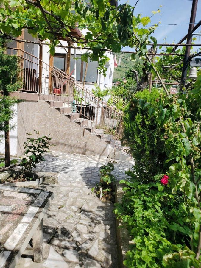 Lake Ohrid Guesthouse "Villa Valentina" Πόγραδετς Εξωτερικό φωτογραφία